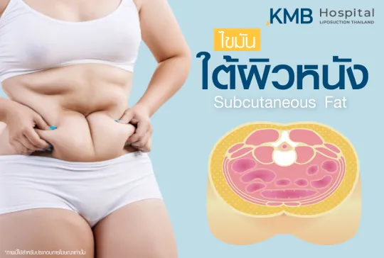 ไขมันใต้ผิวหนัง