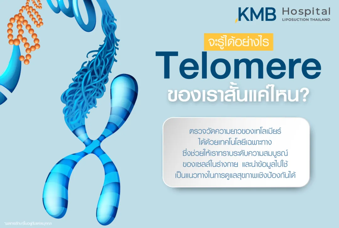 จะรู้ได้อย่างไร Telomere ของเราสั้นแค่ไหน