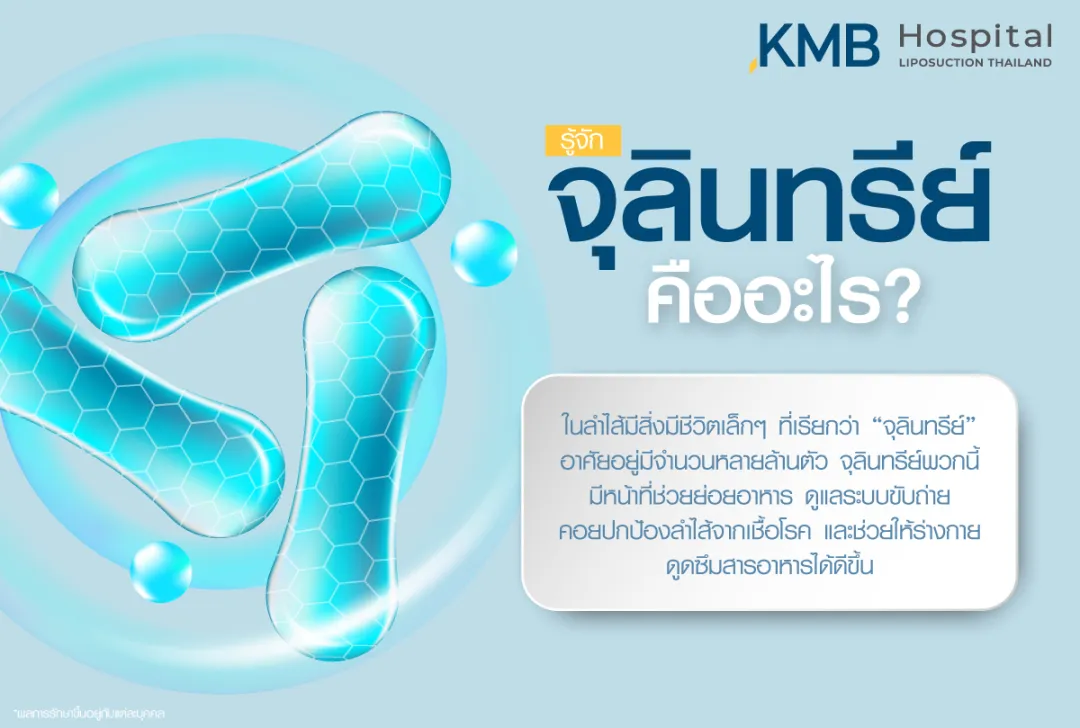 จุลินทรีย์คืออะไร