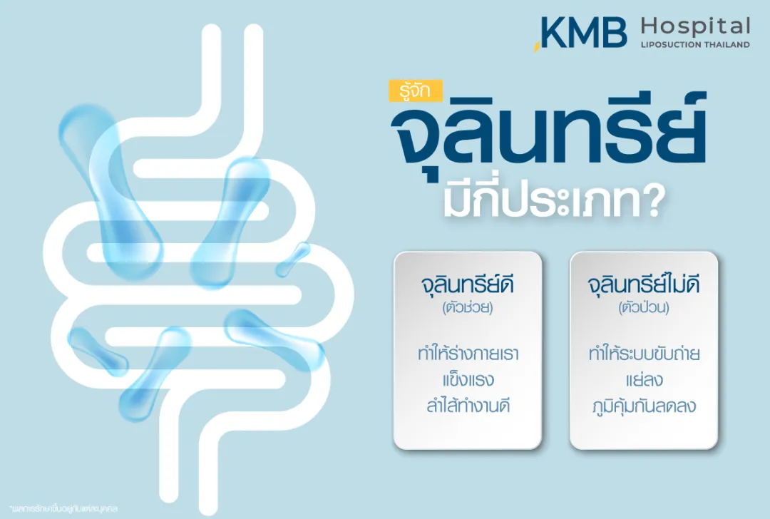 จุลินทรีย์มีกี่ประเภท