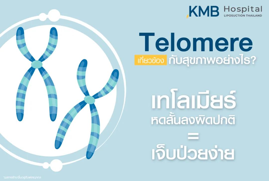 Telomere เกี่ยวข้องกับสุขภาพอย่างไร