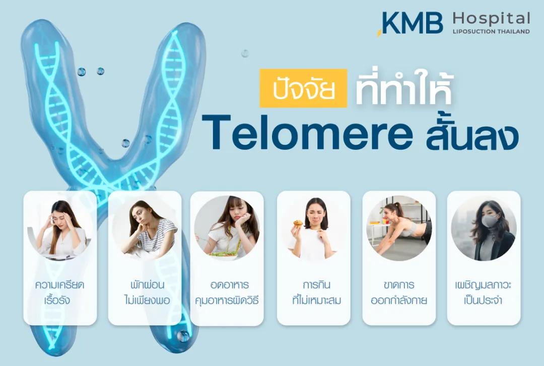 ปัจจัยที่ทำให้ Telomere สั้นลง