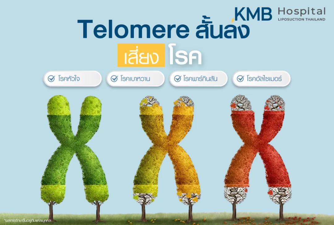Telomere สั้นลง เสี่ยงโรค